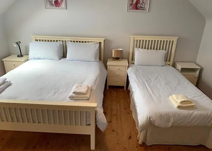 3 Bed In Ballinskelligs Oc-ii00566 別荘 *